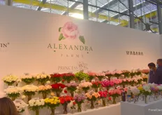 A wall of bouquets from Alexandra Farms.